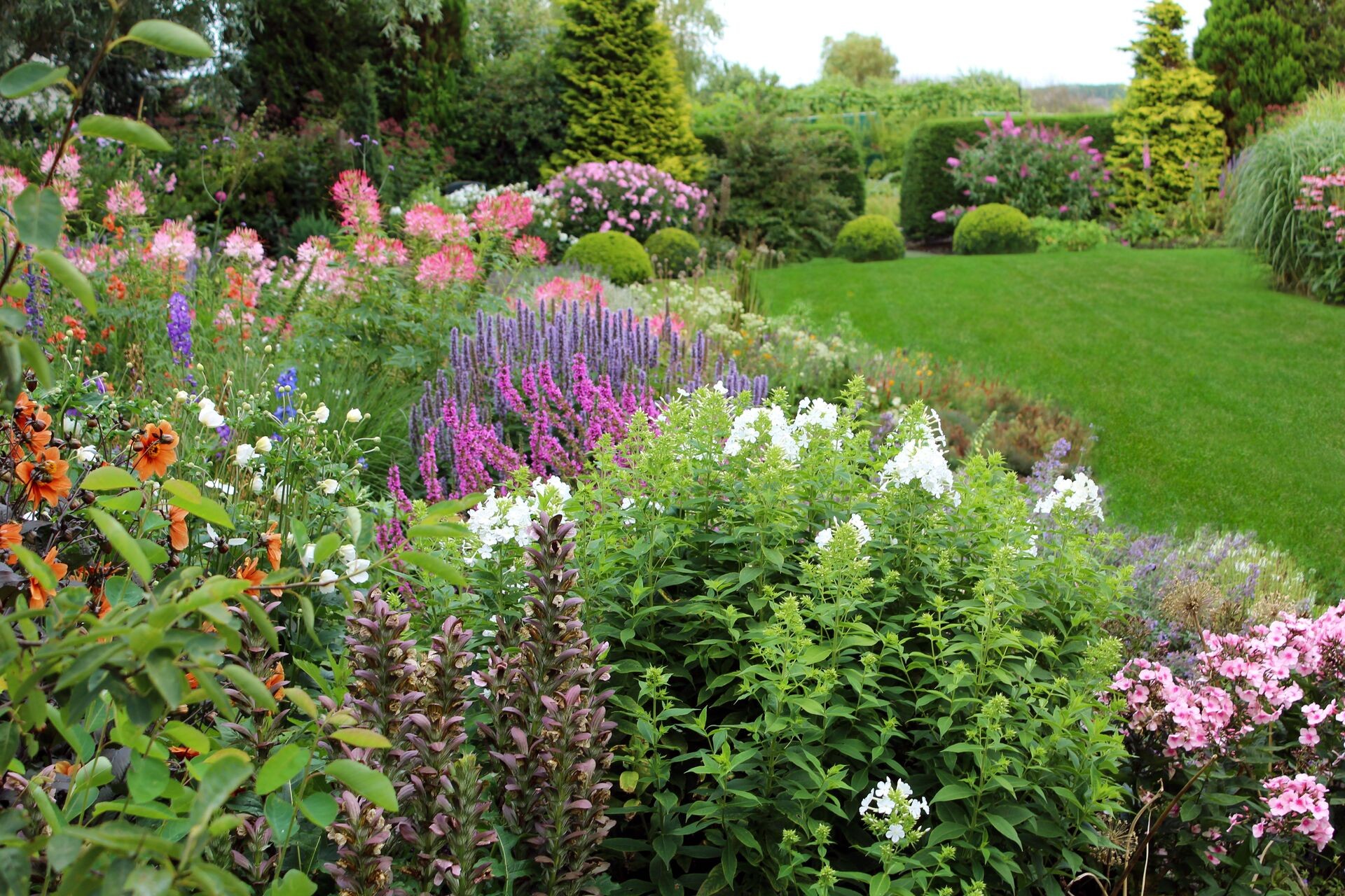 Richtig kalken im Garten Thumb