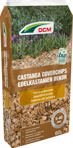 DCM Edelkastanien Dekor 5 - 40 mm thumbnail
