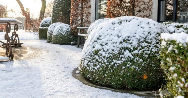 Schnee im Garten – was unter der weißen Decke wirklich passiert Thumb