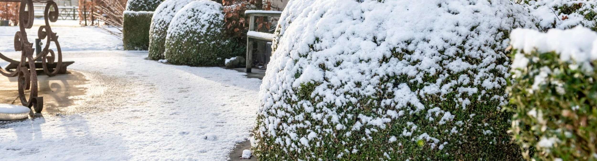 Schnee im Garten  was unter der weien Decke wirklich passiert | DCM