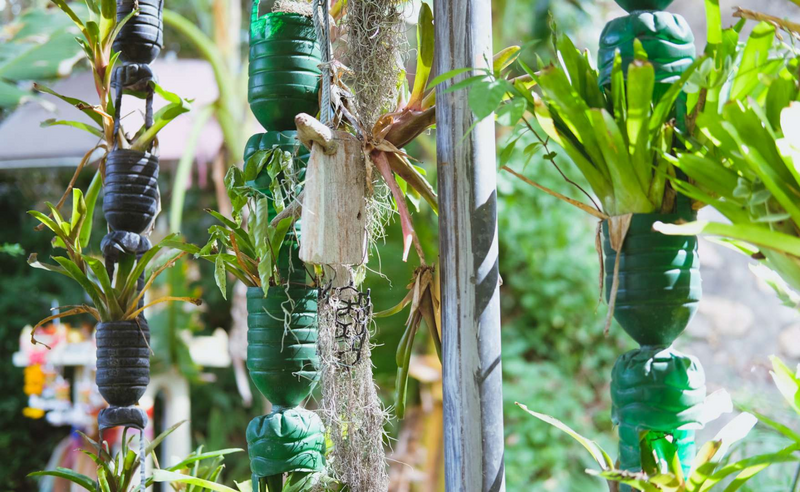 Vertikaler Garten: So pflanzen Sie in die Höhe Thumb