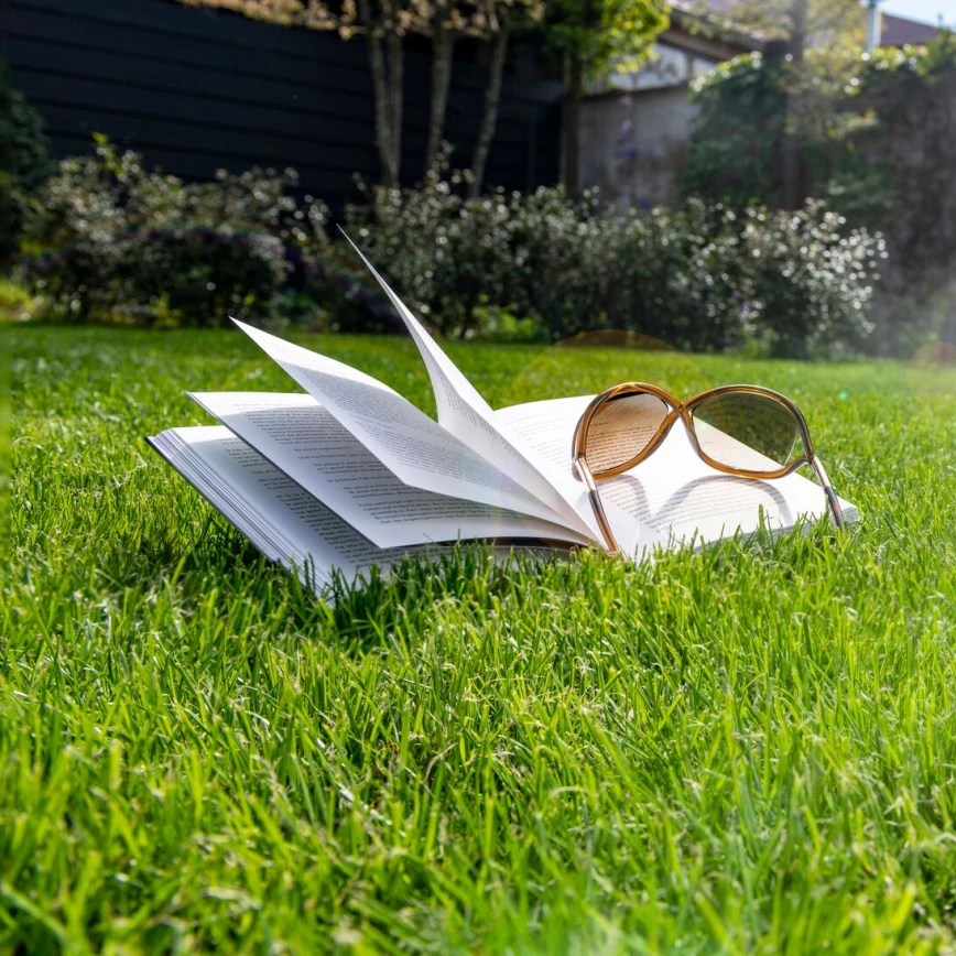 Rasenpflege im Sommer Thumb