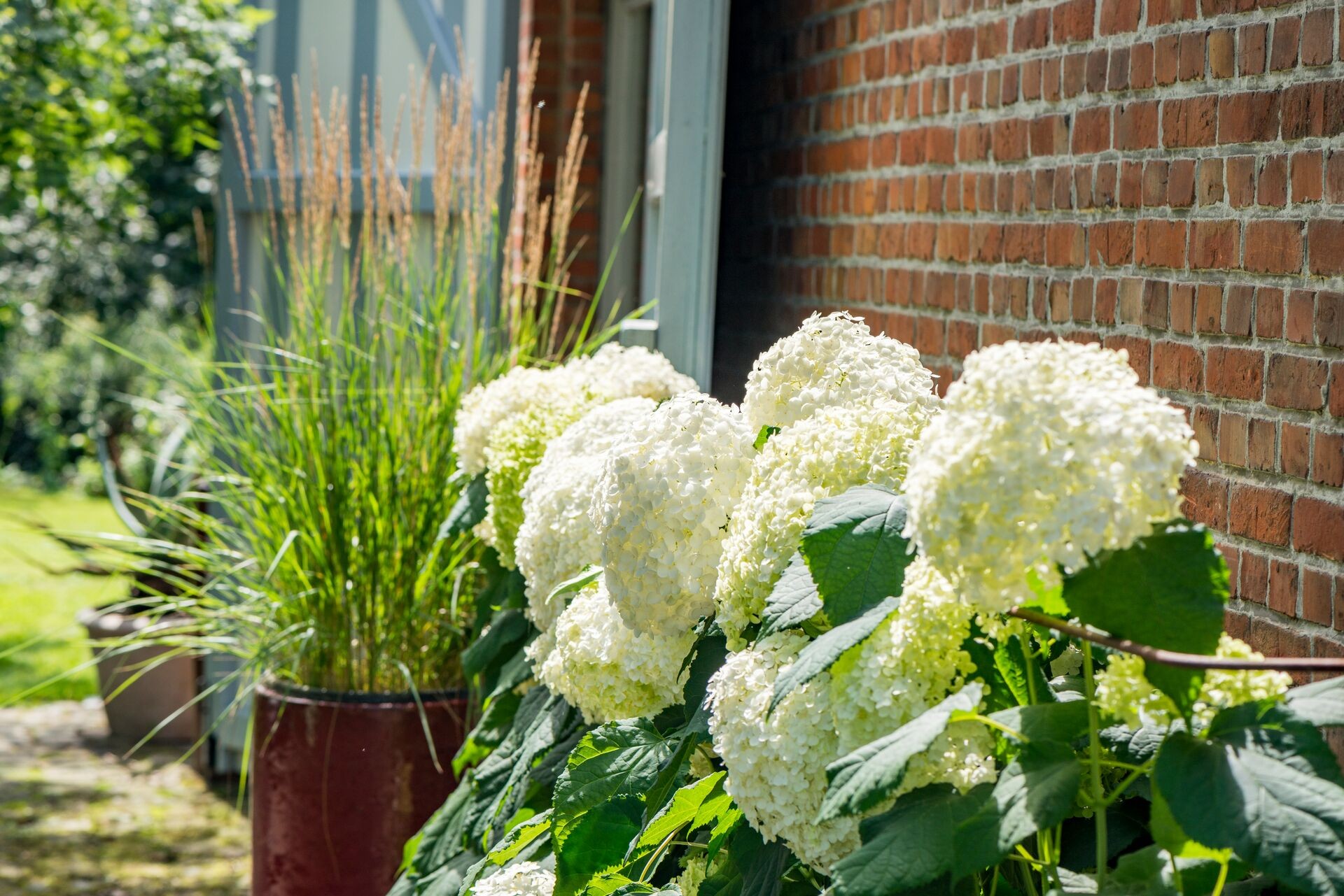 Gartengestaltung mit Hortensien Thumb
