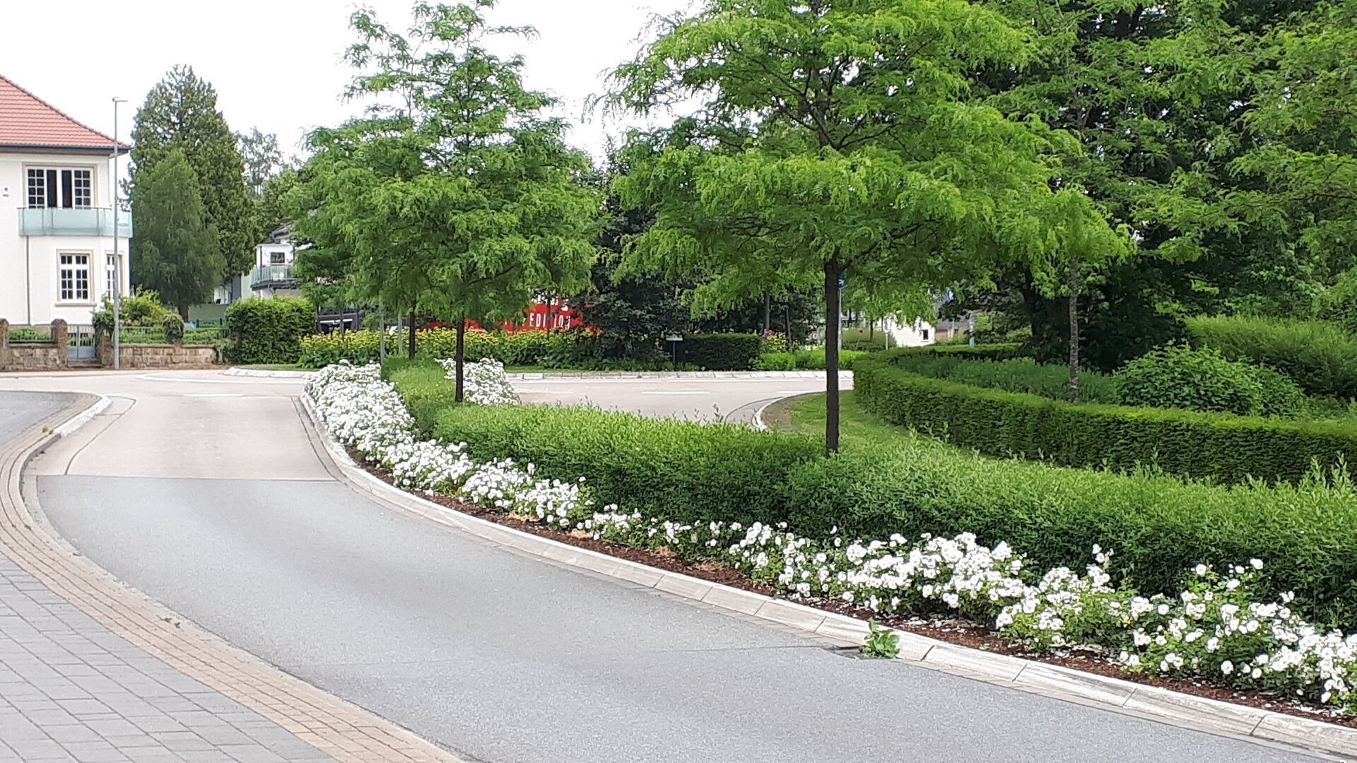 Düngung und Pflege von Stadtbäumen Thumb