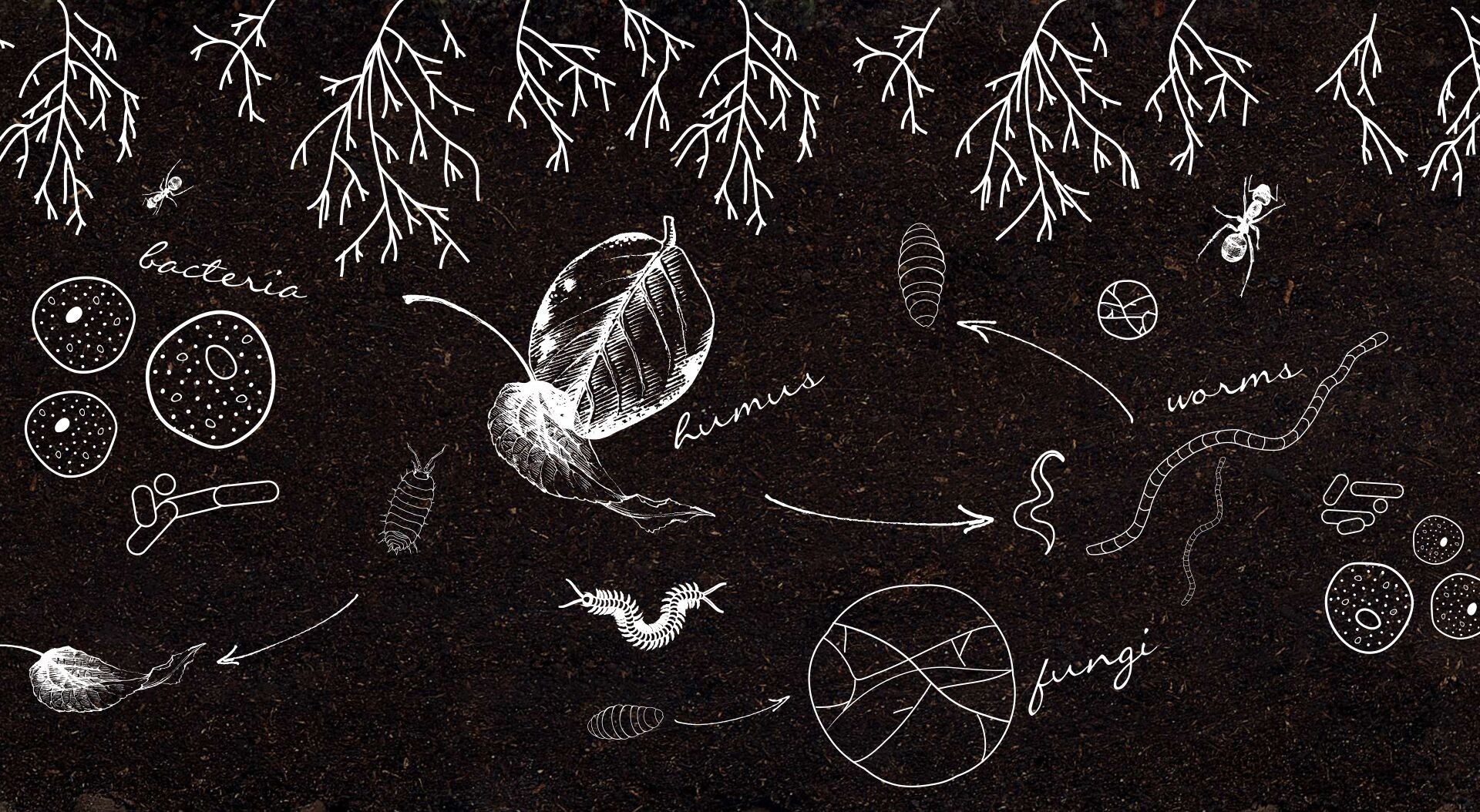 Header image alt