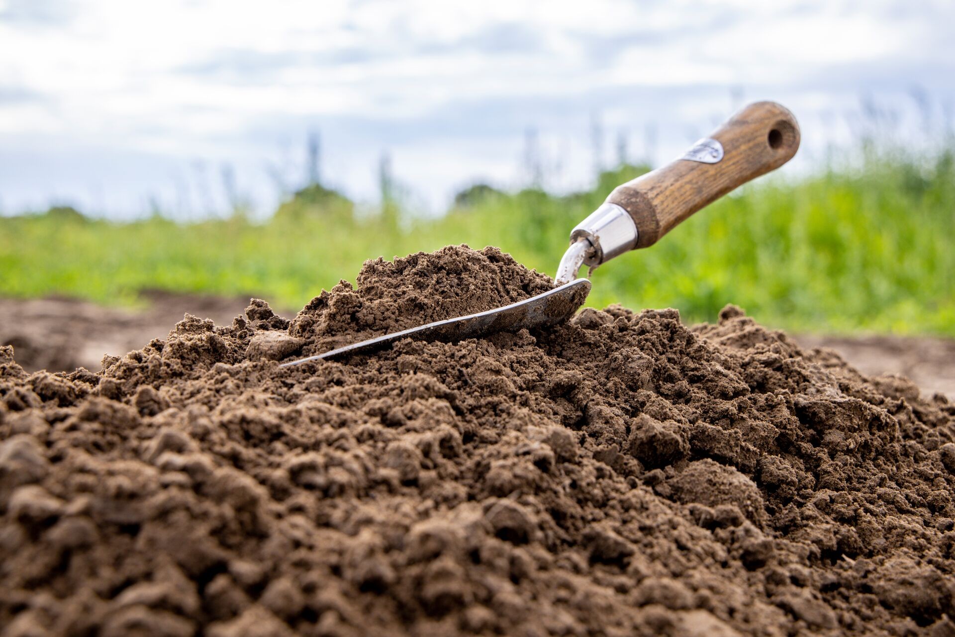 Bodenkunde: Was Sie über Ihren Gartenboden wissen sollten Thumb