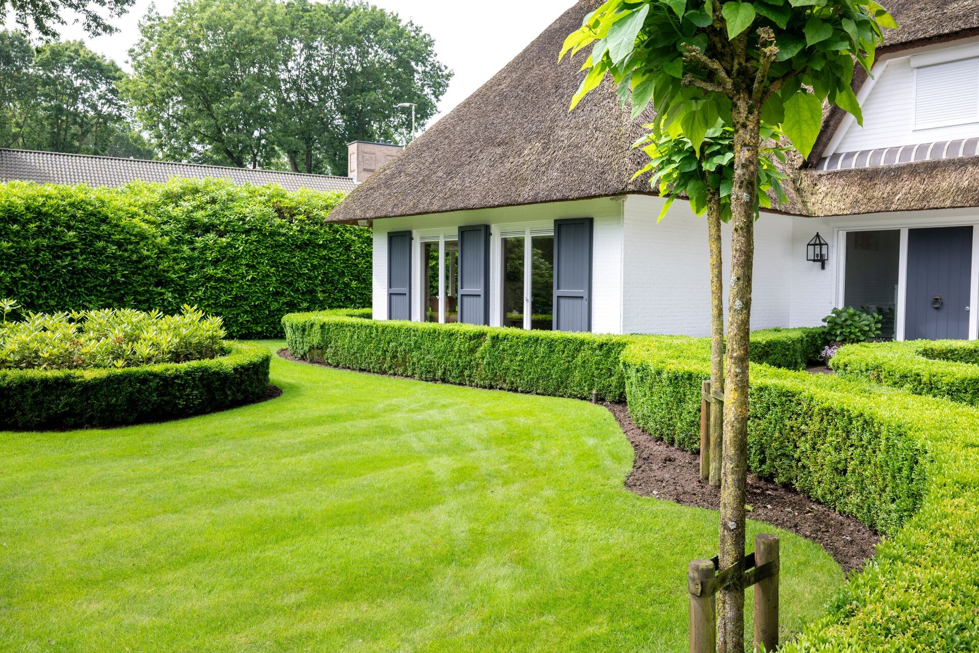 Hecke anlegen und richtig pflanzen Thumb