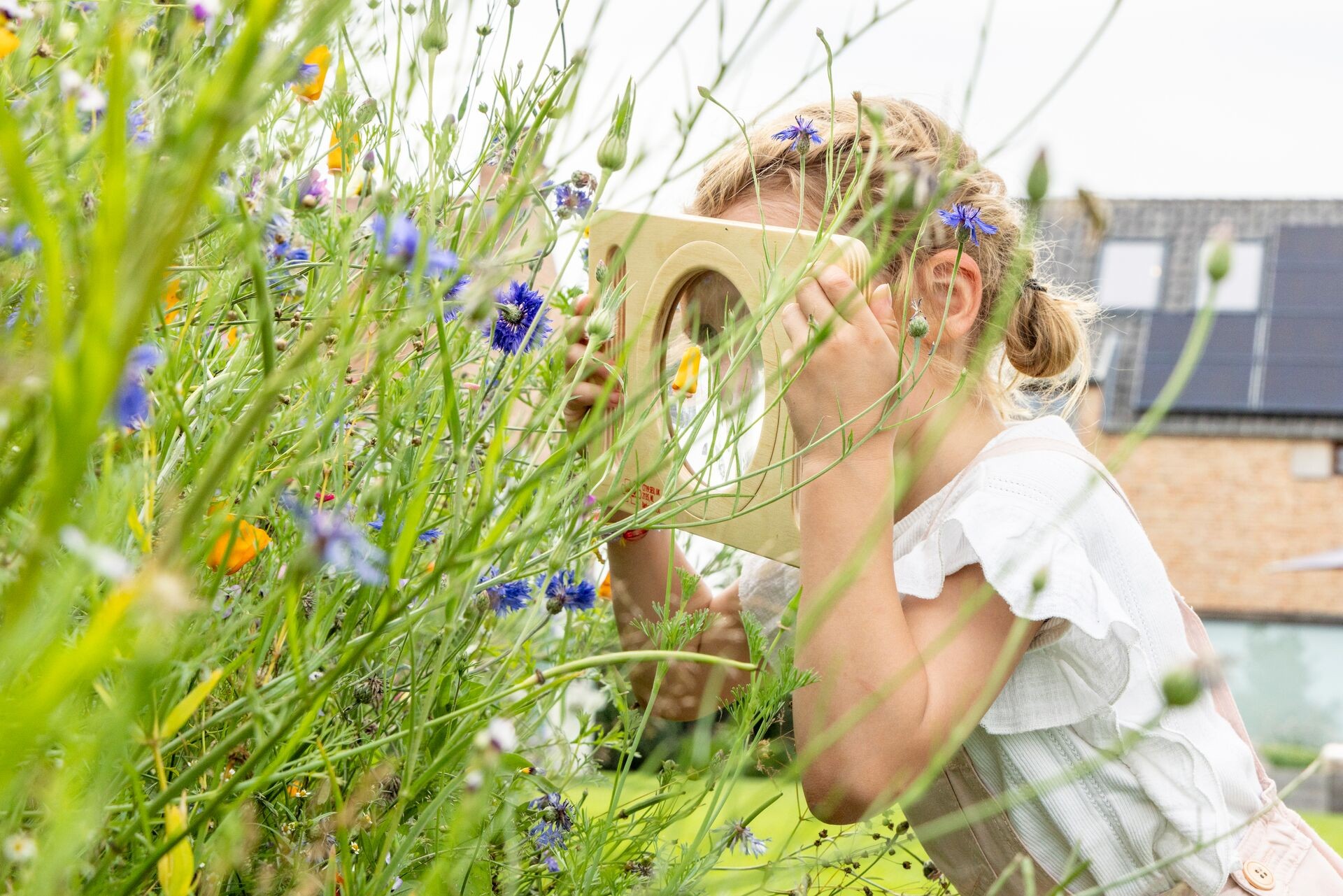 Für mehr Insektenvielfalt im Garten Thumb