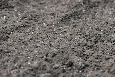 Hybriddüngung im Profibereich: organisch-mineralische Dünger strategisch kombinieren Thumb