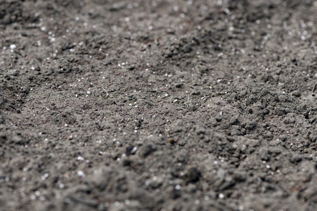 Header image alt