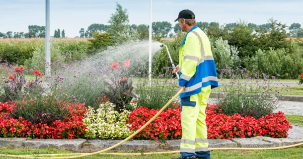 Flüssigdünger DCM PROLICO® FLOWER: Die ideale Lösung für Gärtner im GaLaBau Thumb