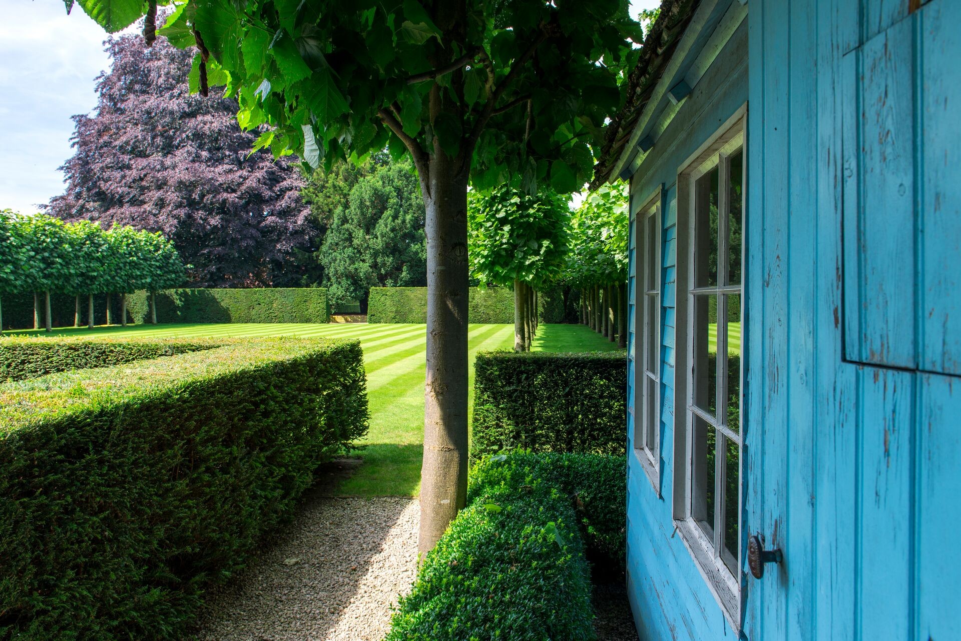 Hecke pflegen – so wird und bleibt sie dicht und grün Thumb