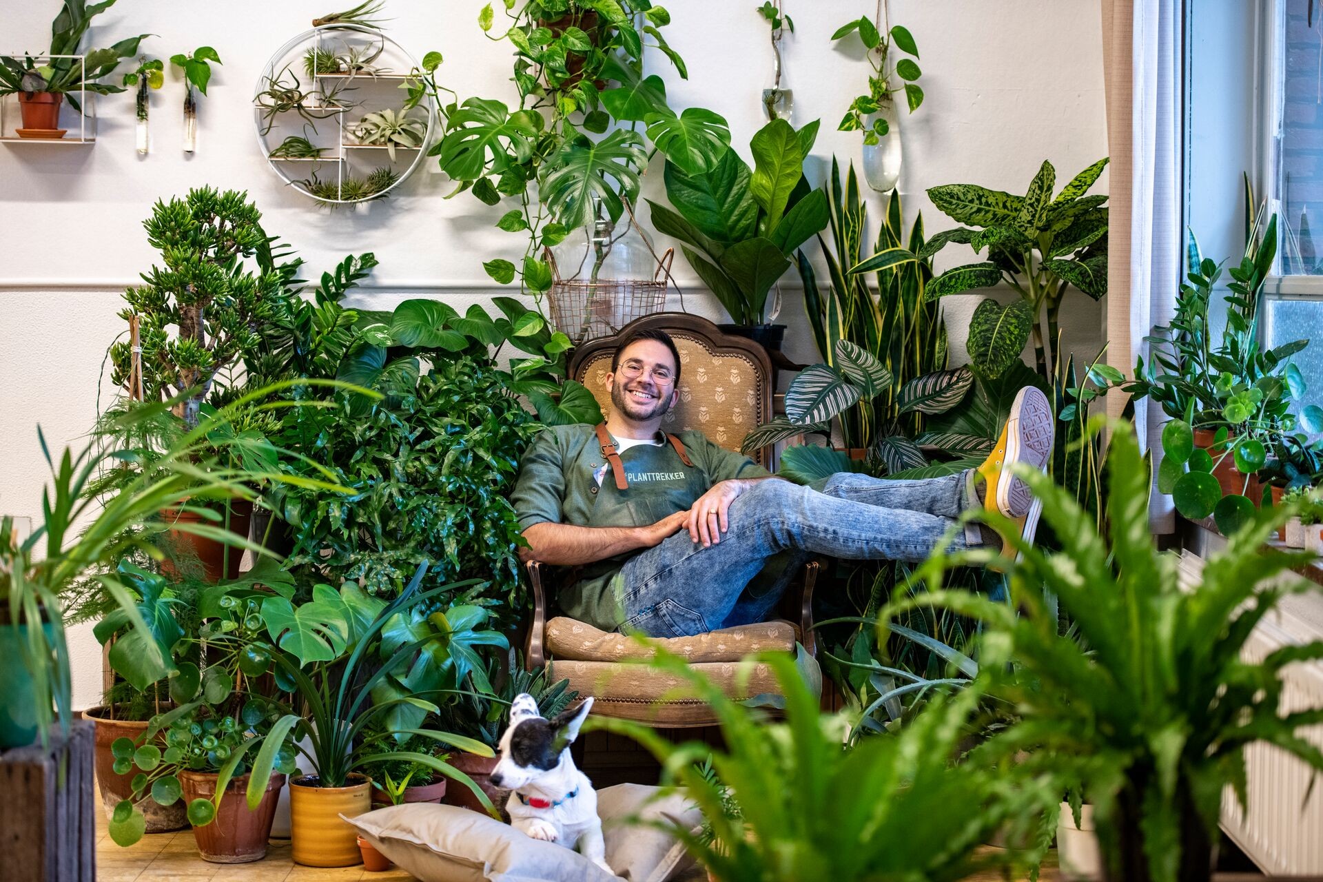 Urban Jungle: Tipps rund um den Zimmerpflanzen-Trend Thumb