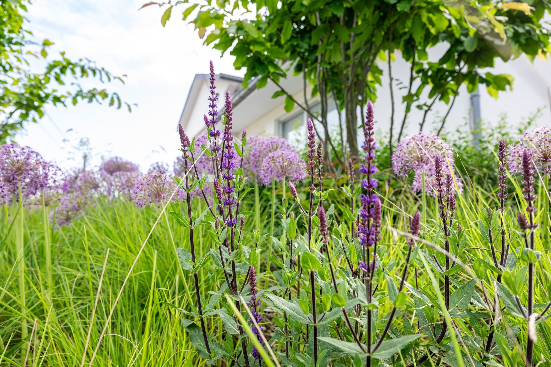 Nachhaltiges Gärtnern: Der Weg zur umweltfreundlichen Gartenpflege Thumb