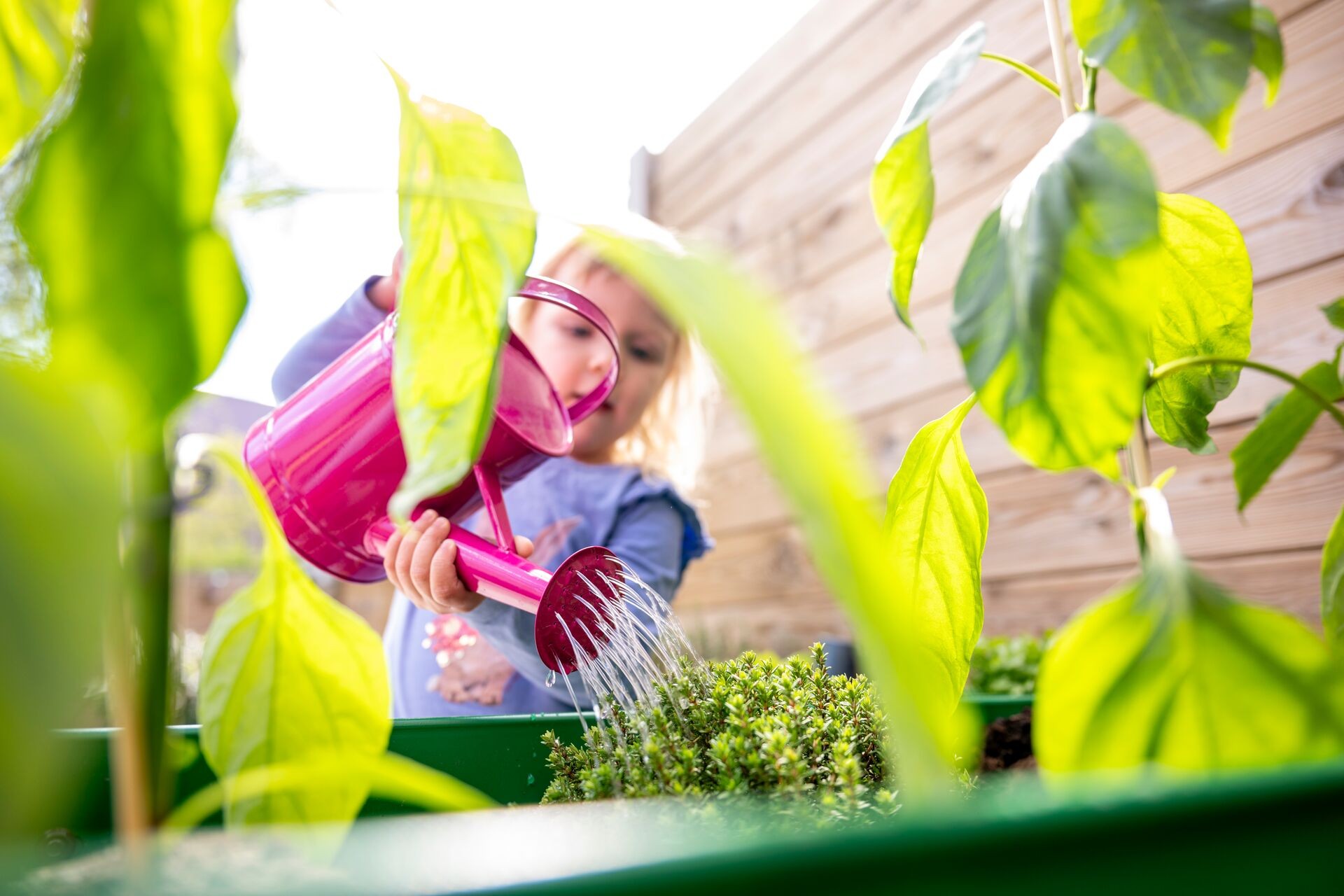 Regenwasser sammeln für den Garten - einige Ideen Thumb
