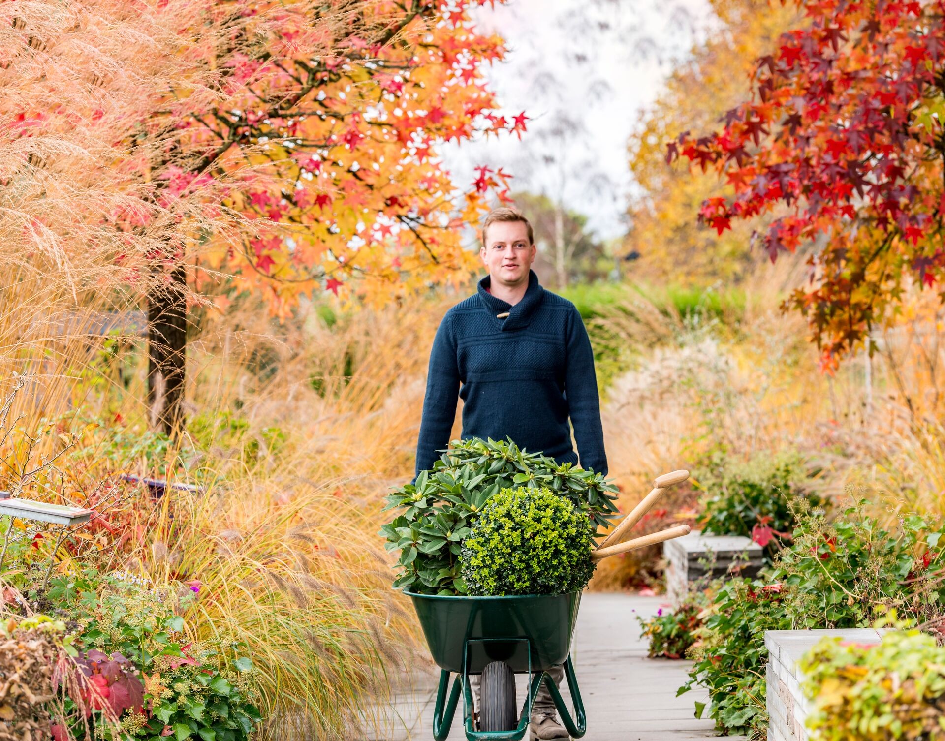 Gartenarbeit im Herbst – das ist jetzt zu tun Thumb