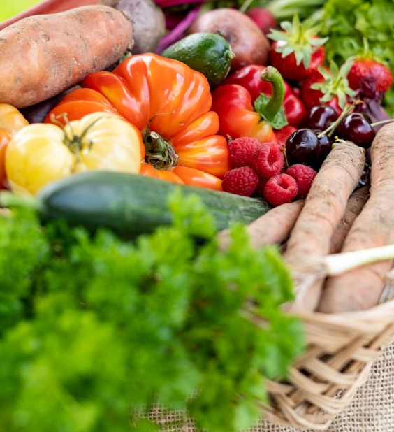 H ndlersuche DCM H ndlersuche DCM