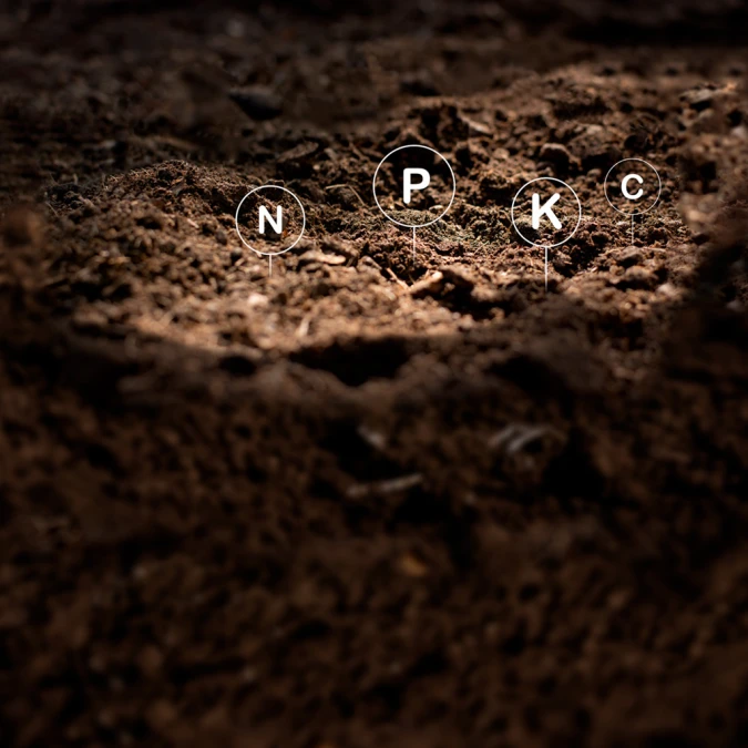 Header image alt