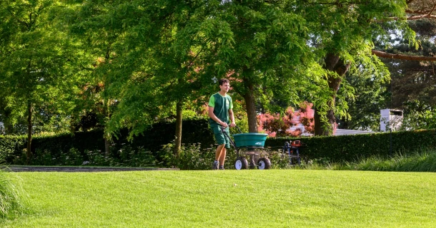 Gräser Wachstum im Frühling anregen: So gelingt der professionelle Start in die Vegetation Thumb