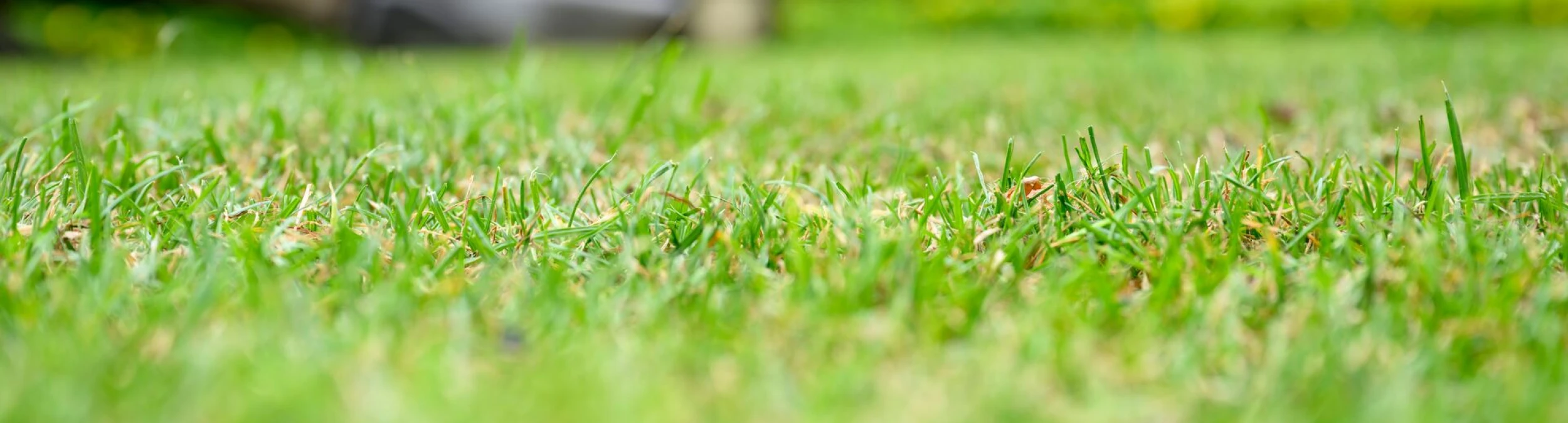 Header image alt