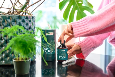 Schenken Sie Ihren Pflanzen einen Wachstums-Kick: mit DCM Superfood Thumb