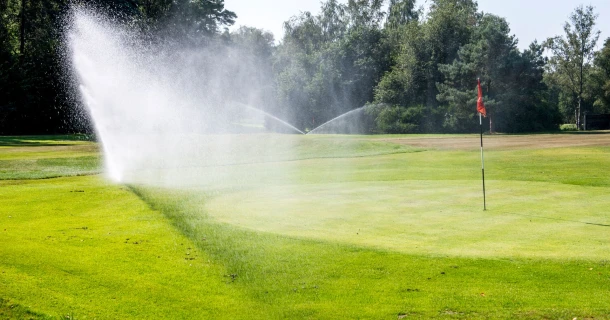 DCM HYDRO-GREEN®: Düngung und Wassermanagement in einer einfachen Anwendung Thumb