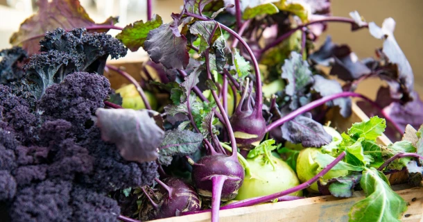Hochbeet im Winter: So bleibt Ihr Hochbeet fruchtbar, geschützt und ertragreich Thumb